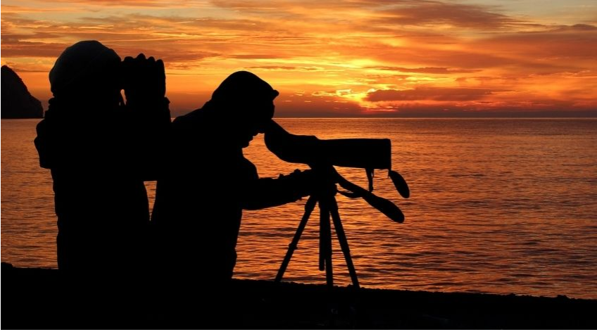 info-848-472 info-848-472